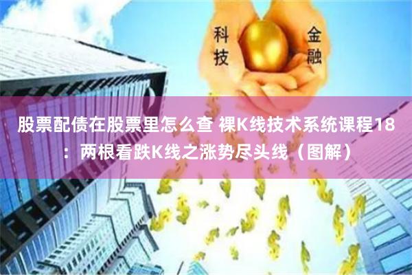 股票配债在股票里怎么查 裸K线技术系统课程18：两根看跌K线之涨势尽头线（图解）